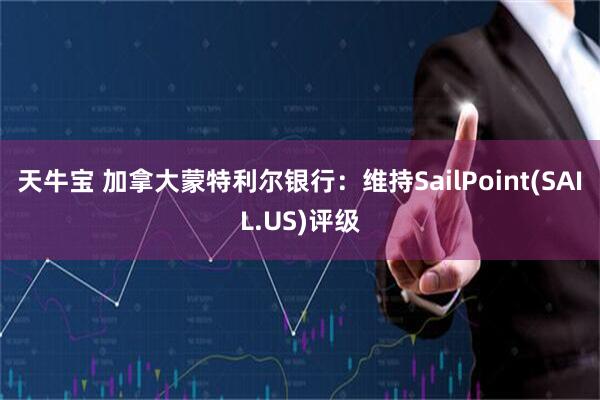 天牛宝 加拿大蒙特利尔银行：维持SailPoint(SAIL.US)评级