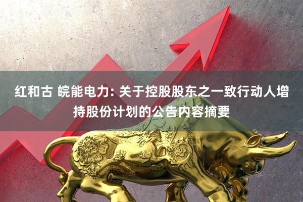 红和古 皖能电力: 关于控股股东之一致行动人增持股份计划的公告内容摘要
