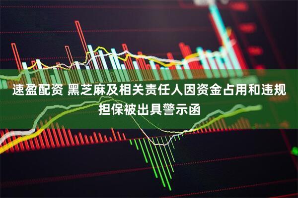 速盈配资 黑芝麻及相关责任人因资金占用和违规担保被出具警示函