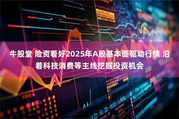牛股堂 险资看好2025年A股基本面驱动行情 沿着科技消费等主线挖掘投资机会