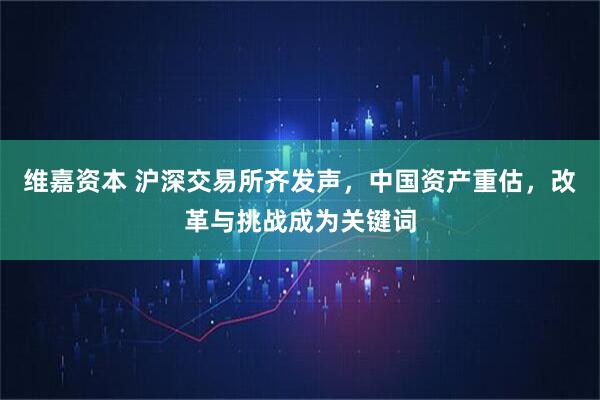 维嘉资本 沪深交易所齐发声，中国资产重估，改革与挑战成为关键词